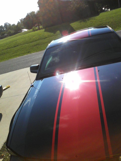Car wrap